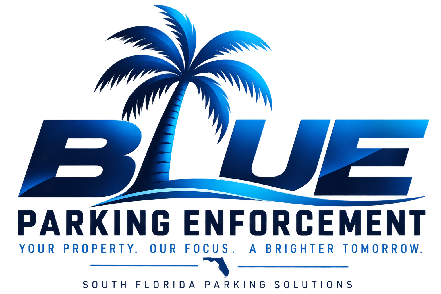 Blue Parking Enforcement
